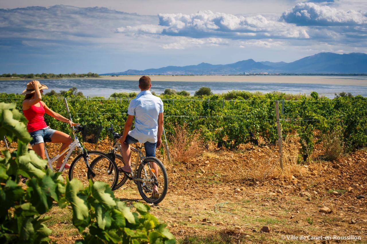 "Eden" Exceptionnel! Vue Mer 10M De La Plage Parking Prive Gratuit A 100M Canet-en-Roussillon Exteriör bild